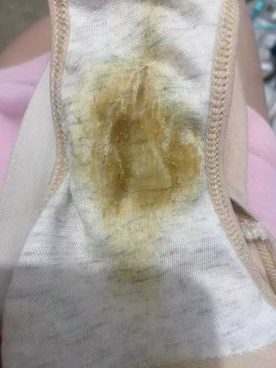 22岁|书法老师 |私人小铺